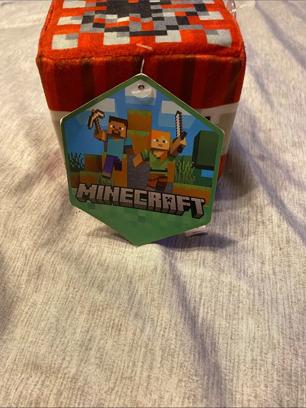 MINECRAFT 5